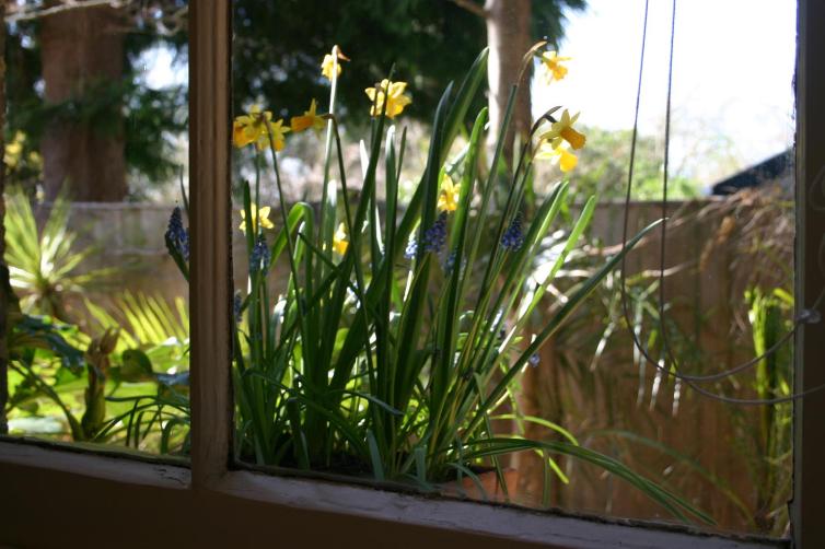spring window box2