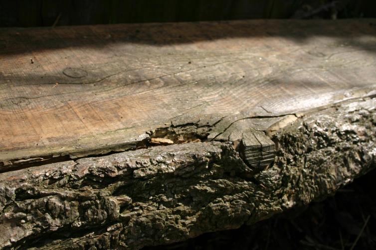 log bench
