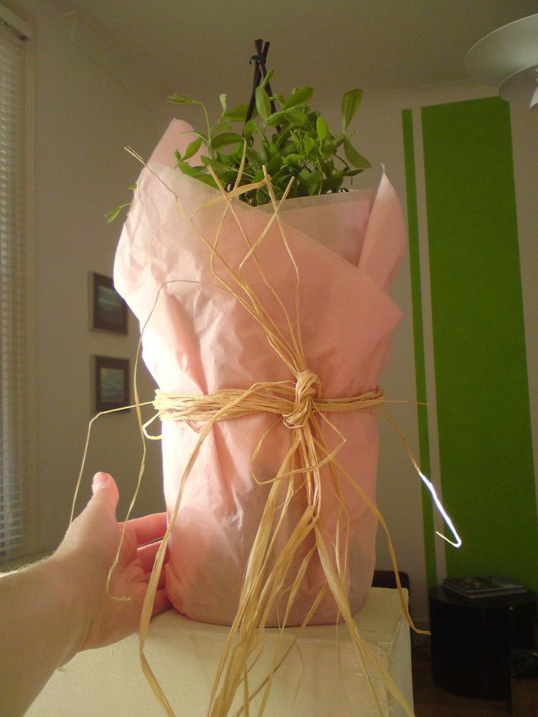 the gift that keeps on giving