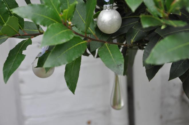 baubles on bay tree