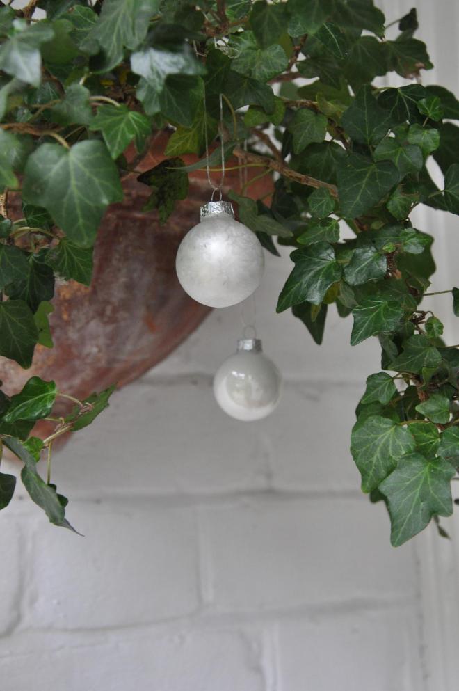 baubles on ivy