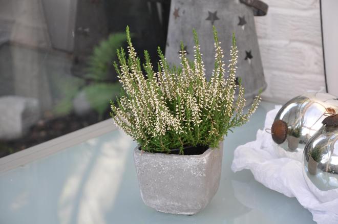 The lantern with star cut out casts a starry night over the mirrored table once it turns to dusk.  Anything with stars equals christmas in my book!