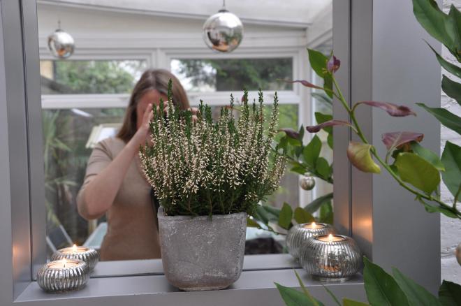 white heathers (late again)