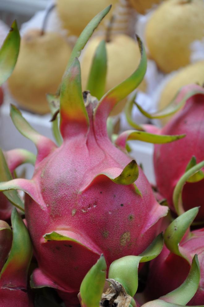 dragon fruit