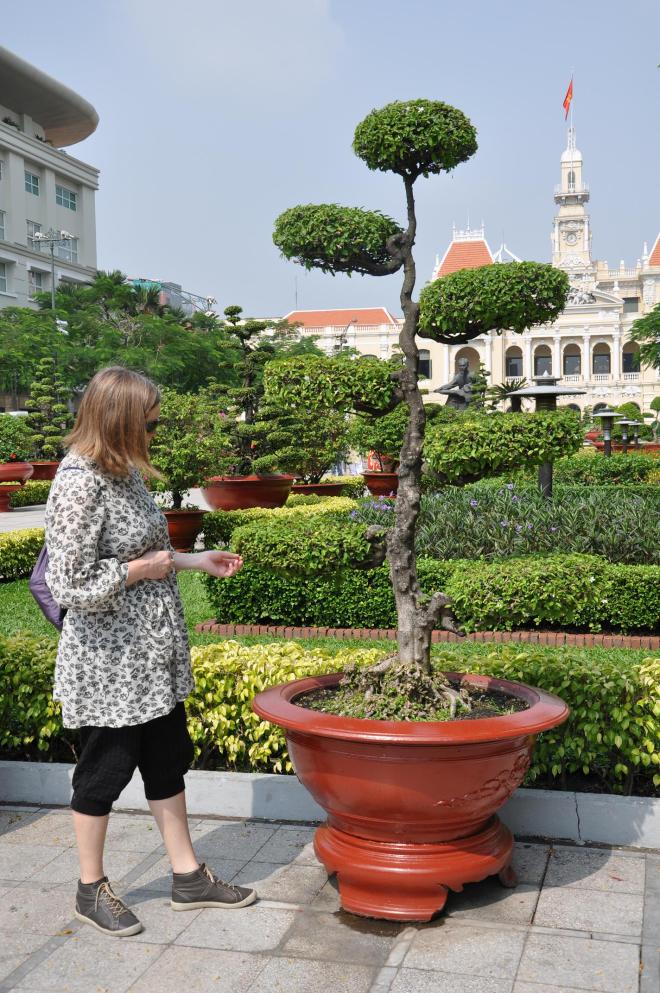 vietnam topiary
