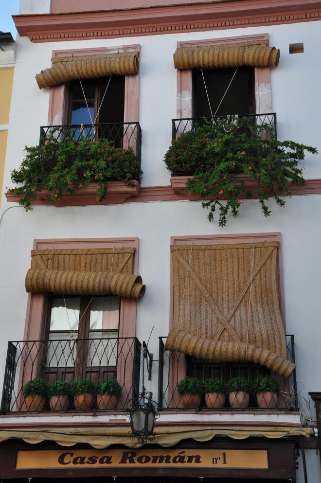 seville fill it with pots