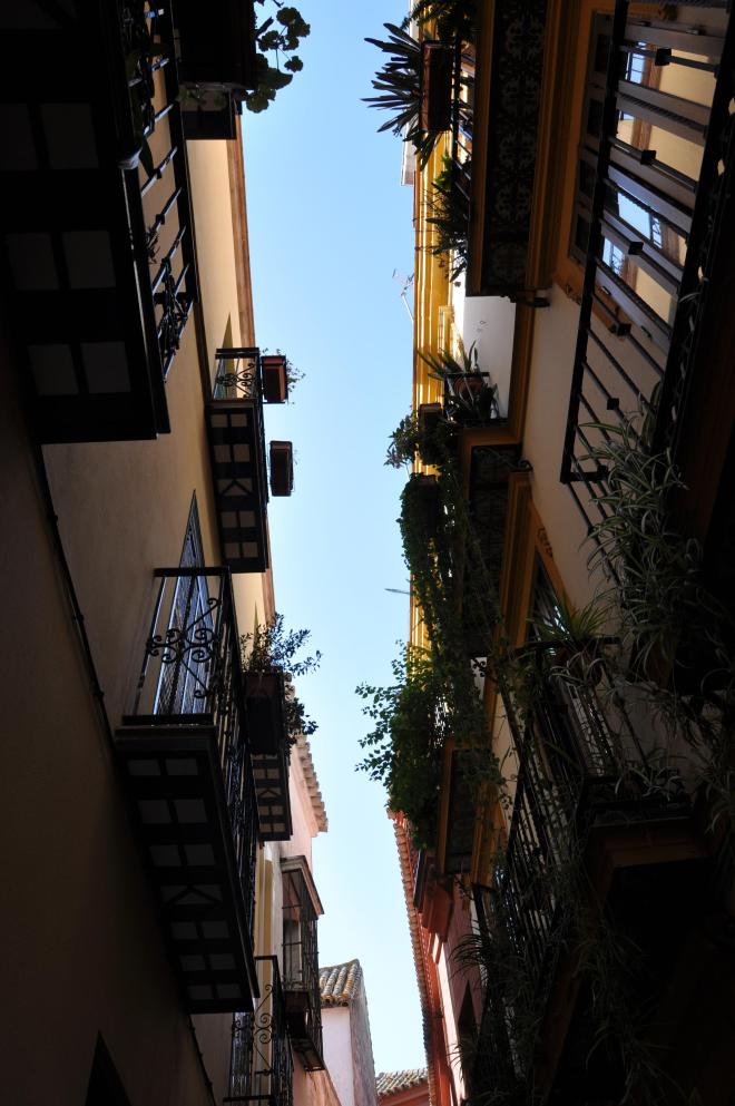 seville have a balcony fill it up