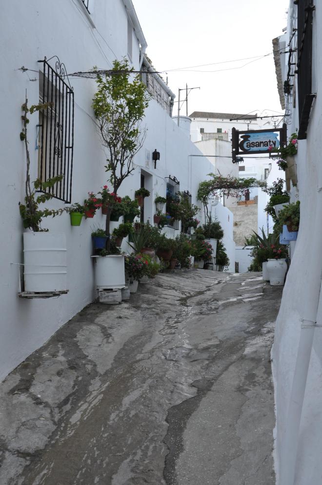 vejer blooming street