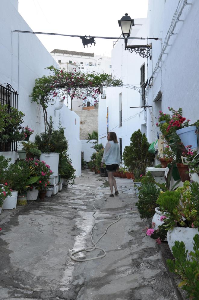 vejer blooming street2