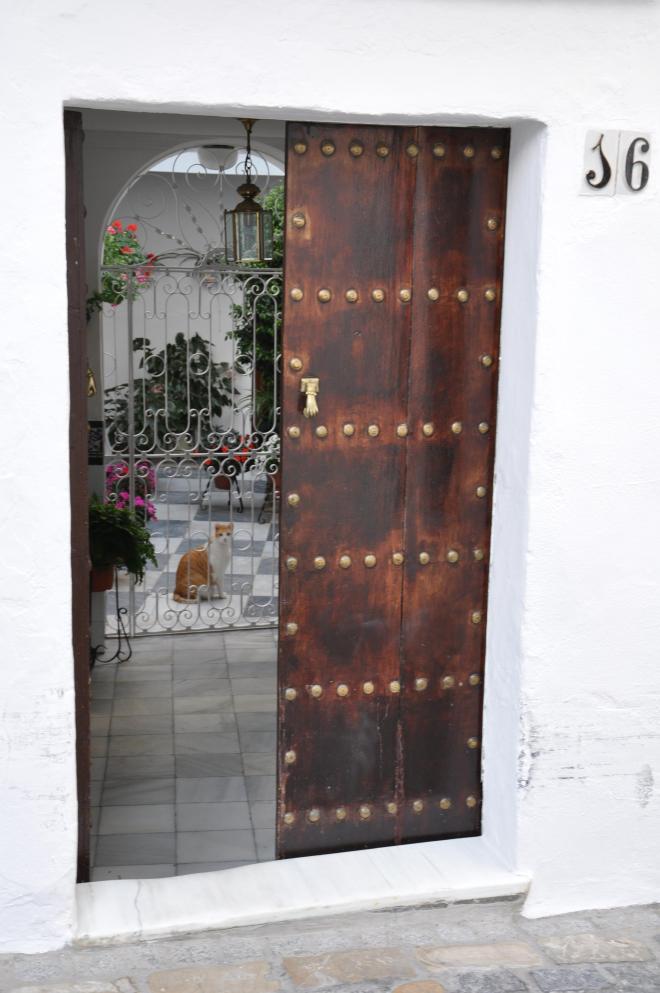 vejer courtyard in bloom