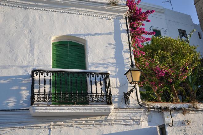 vejer plant it it will grow