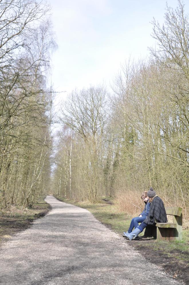 looking more like winter