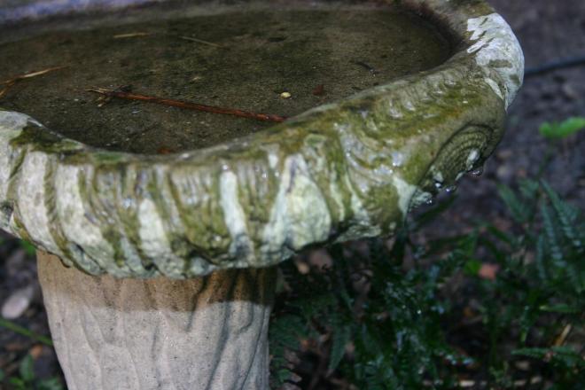 stone bird bath close up