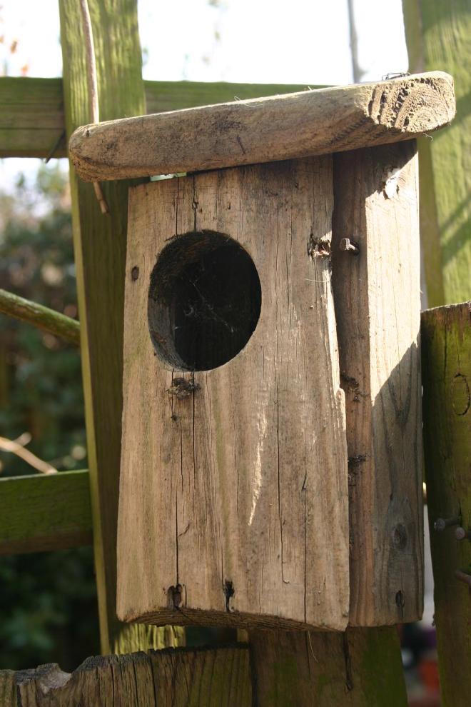 wooden bird house