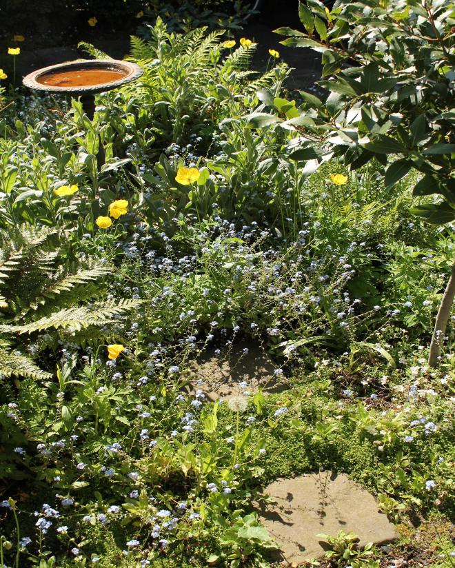 birdbath and stepping stones