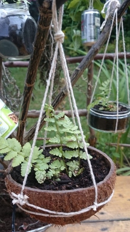 teeny bloominplaces coconut hangers