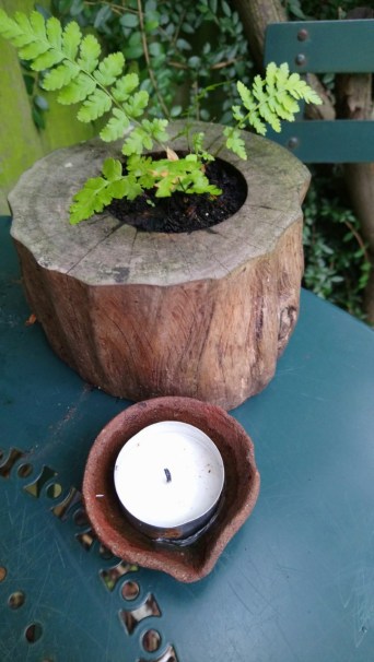 teenyblooming fern and candle