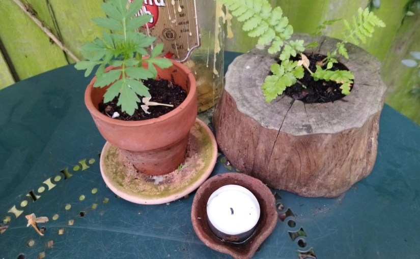 Teeny Blooming Places