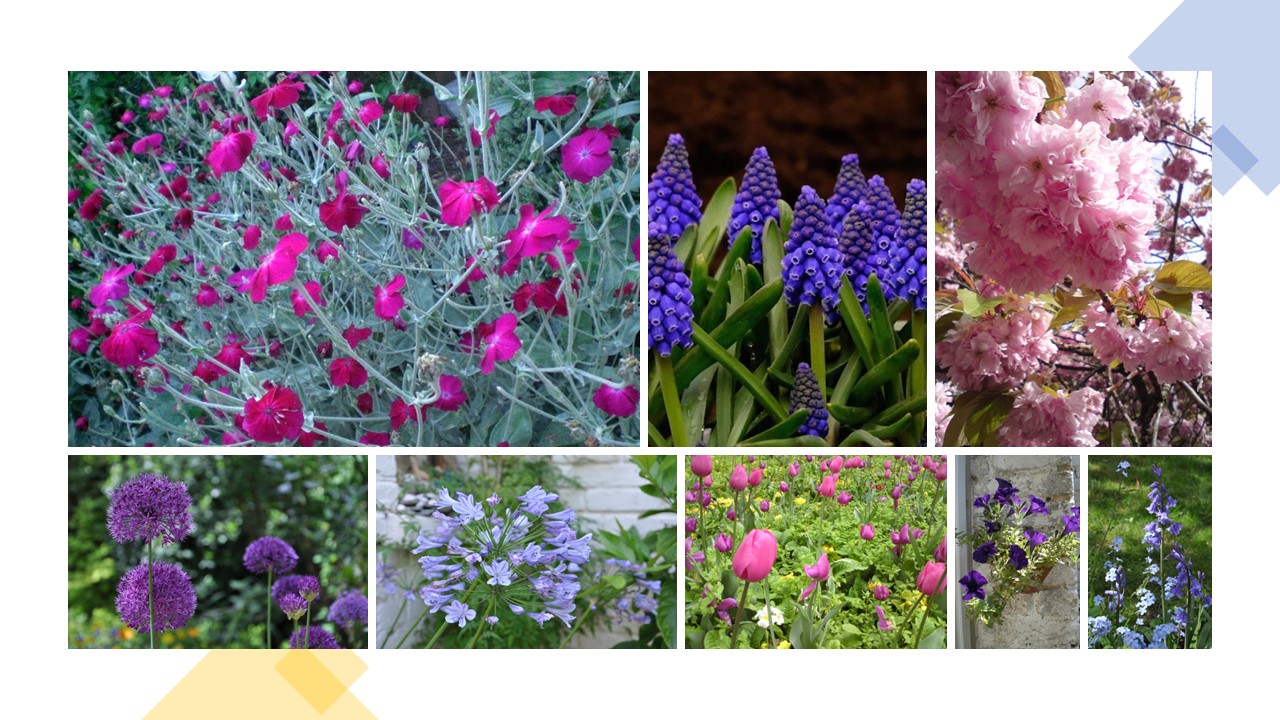 spring planting for the pollinators